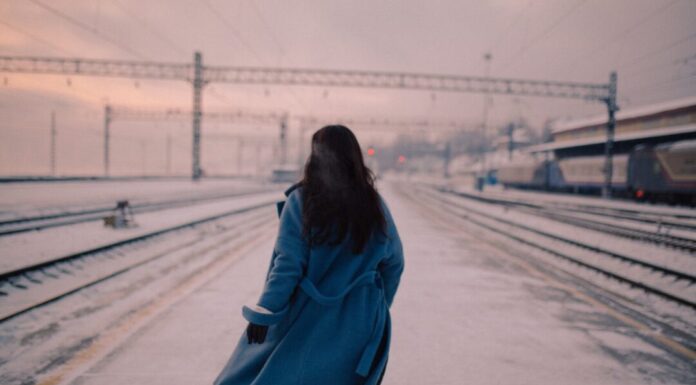 Ludi voz ludi voz - ljubavni romani za čitanje online