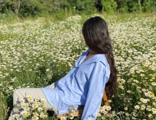 Časni plemić Časni plemić - ljubavni roman besplatno čitanje