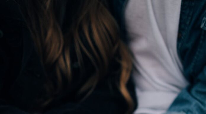 Nema pravila Nema pravila u ljubavi - ljubić za čitanje online