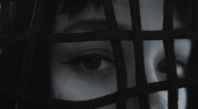 Iznad svega Iznad svega - ljubavni roman za čitanje online