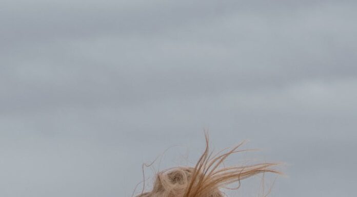 Neizgovoreno priznanje Neizgovoreno priznjanje - ljubavni vikend roman