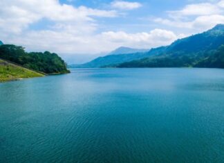 Plavetnilo Mediterana Plavetnilo Mediterana - sela Brejšn - ljubić