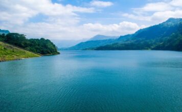 Plavetnilo Mediterana Plavetnilo Mediterana - sela Brejšn - ljubić