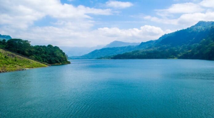 Plavetnilo Mediterana Plavetnilo Mediterana - sela Brejšn - ljubić