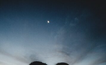 Sjaj stotine sveća 🎁 Sjaj stotine sveća - ljubić