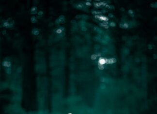 Pakleno iskušenje Pakleno iskušenje - ljubavni vikend roman za čitanje online