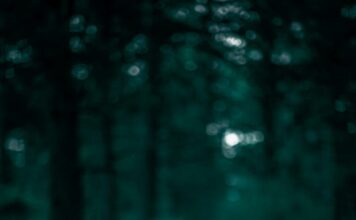 Pakleno iskušenje Pakleno iskušenje - ljubavni vikend roman za čitanje online