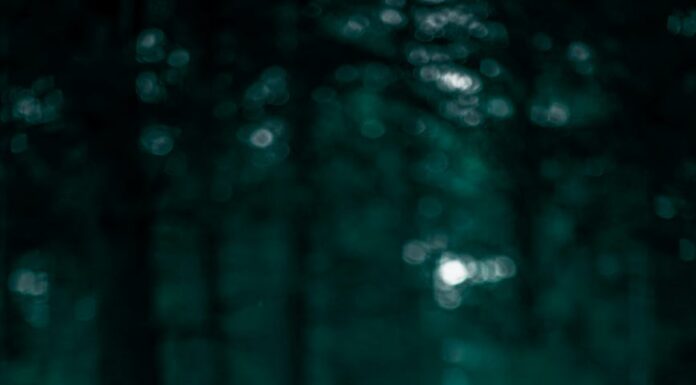 Pakleno iskušenje Pakleno iskušenje - ljubavni vikend roman za čitanje online