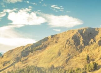 Ozbiljne namere Ozbiljne namere, ljubavni romani oniline čitanje