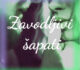 Zavodljivi šapati