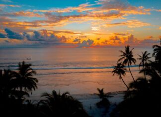 Zavet prošlosti silhouette dusk falling rapidly