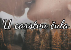 U carstvu čula