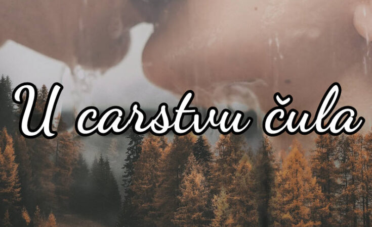 U carstvu čula