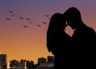 Sjenke sumraka Senke sumraka