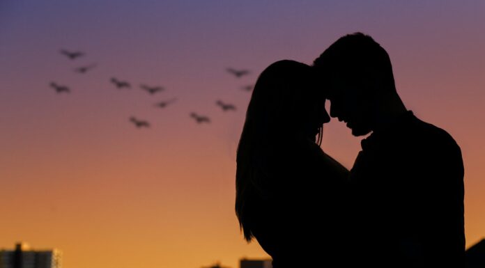 Sjenke sumraka Senke sumraka