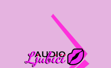 Zlatna ulaznica za život (audio knjiga)