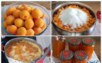 DŽEM OD BRESKVE: Bez Konzervansa, Sprema Se Brzo, A Najbolje Ide Uz Palačinke (VIDEO)