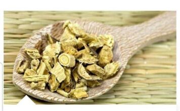 STRES JE IZVOR MNOGIH BOLESTI: Evo kako da ih izbjegnete sa samo jednom biljkom…