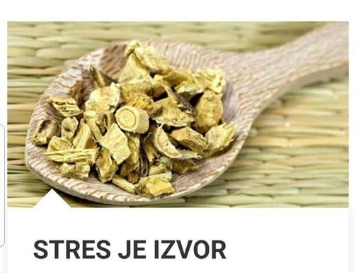 STRES JE IZVOR MNOGIH BOLESTI: Evo kako da ih izbjegnete sa samo jednom biljkom…