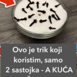 SVI ME PITAJU ZAŠTO U M0JOJ KUĆI TAKO LIJEPO MIRIŠE: Ovo Je Trik Koji Koristim, Samo 2 Sastojka – A KUĆA MIRIŠE DANIMA