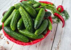 Obavezno ih spremite u tegle: Kiseli krastavčići, recept koji će vam garantovano uspeti