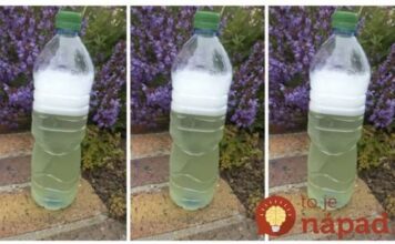 Sredstvo za ubijanje korova za par centi – očistilo je beton, terasu i cijelu baštu: Isprobano i najjače, neću ga odložiti!