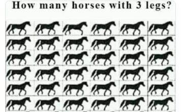 Samo pravi genijalci mogu da pronađu sve konje sa tri noge u ovoj mozgalici za 10 sekundi Samo pravi genijalci mogu da pronađu sve konje sa tri noge u ovoj mozgalici za 10 sekundi