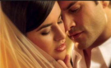 ŠEJNOVA TAJNA (ljubić) Čitaj besplatno ljubić Šejnova tajna