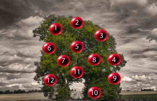 DRVO ŽELJA! ZAMISLITE JEDNU ŽELJU I IZABERITE 1 BROJ SA DRVETA: Evo da li će vam se želja ostvariti DRVO ŽELJA! ZAMISLITE JEDNU ŽELJU I IZABERITE 1 BROJ SA DRVETA: Evo da li će vam se želja ostvariti