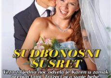 Sudbonosni susret (pdf)