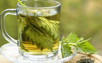 Čaj od KOPRIVE – Pomoć u lečenju bolesti srca, raka, osteoporoze, ekcema, artritisa, psorijaze… Čaj od KOPRIVE – Pomoć u lečenju bolesti srca, raka, osteoporoze, ekcema, artritisa, psorijaze…