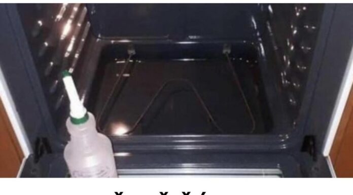 Novi način čišćenja pećnice osvaja internet: Čisto i savršeno odmašćeno bez posla – OD SADA ĆU ČISTITI SAMO NA OVAJ NAČIN! Novi način čišćenja pećnice osvaja internet: Čisto i savršeno odmašćeno bez posla – OD SADA ĆU ČISTITI SAMO NA OVAJ NAČIN!