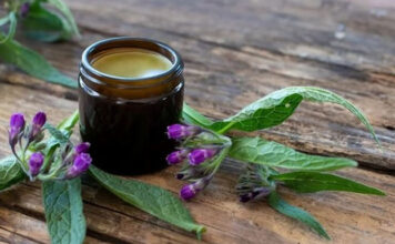 Ovako se pravi i koristi mast I gel od GAVEZA (RECEPTI) Ovako se pravi i koristi mast I gel od GAVEZA (RECEPTI)