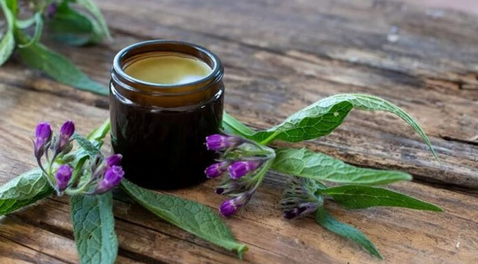 Ovako se pravi i koristi mast I gel od GAVEZA (RECEPTI) Ovako se pravi i koristi mast I gel od GAVEZA (RECEPTI)