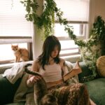 pexels-photo-16216144