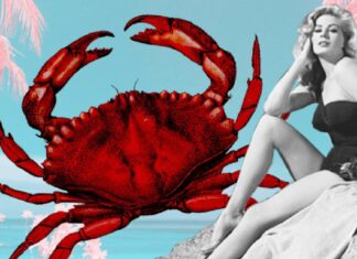 Rak: godisnja astrološka prognoza za 2025. Rak: godisnja astrološka prognoza za 2025.