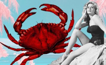 Rak: godisnja astrološka prognoza za 2025. Rak: godisnja astrološka prognoza za 2025.