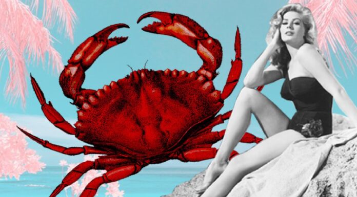 Rak: godisnja astrološka prognoza za 2025. Rak: godisnja astrološka prognoza za 2025.