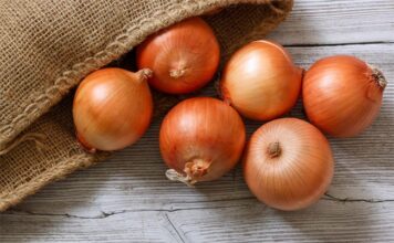 Ako bolujete od OVIH bolesti, morate izbjegavati crni luk! Ako bolujete od OVIH bolesti, morate izbjegavati crni luk!