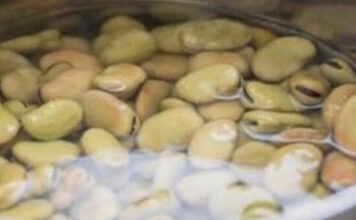 AKO PROSIPATE VODU OD PASULJA, BUKVALNO BACATE NOVAC: Niste ni svjesni KOLIKO KORISTI IMA, pogledajte za šta sve može poslužiti tečnost! AKO PROSIPATE VODU OD PASULJA, BUKVALNO BACATE NOVAC: Niste ni svjesni KOLIKO KORISTI IMA, pogledajte za šta sve može poslužiti tečnost!