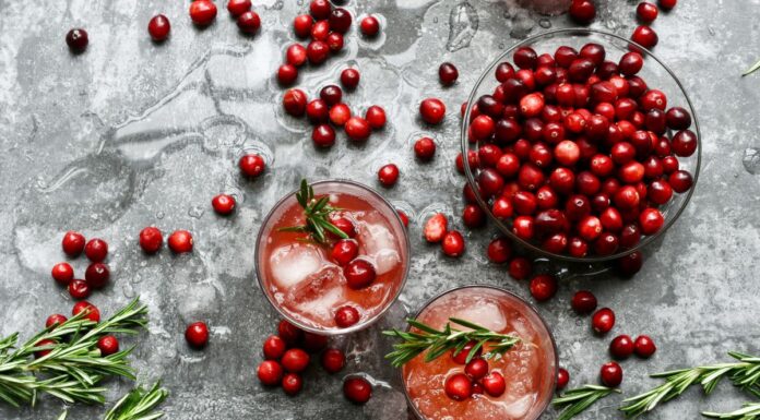 Brusnice, malo ali moćno voće za bolji rad mozga: Evo šta sve čini organizmu Brusnice, malo ali moćno voće za bolji rad mozga: Evo šta sve čini organizmu