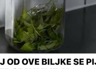 ČAJ OD OVE BILJKE SE PIJE PRED SPAVANJE: Uspavaće vas kao malu bebu i obrisati nervozu u sekundi – morate probati ČAJ OD OVE BILJKE SE PIJE PRED SPAVANJE: Uspavaće vas kao malu bebu i obrisati nervozu u sekundi – morate probati