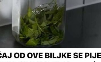 ČAJ OD OVE BILJKE SE PIJE PRED SPAVANJE: Uspavaće vas kao malu bebu i obrisati nervozu u sekundi – morate probati ČAJ OD OVE BILJKE SE PIJE PRED SPAVANJE: Uspavaće vas kao malu bebu i obrisati nervozu u sekundi – morate probati