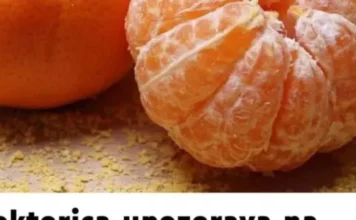 Doktorica upozorava na negativni ekefat mandarina: Evo ko ih nikako ne bi trebao jesti Doktorica upozorava na negativni ekefat mandarina: Evo ko ih nikako ne bi trebao jesti