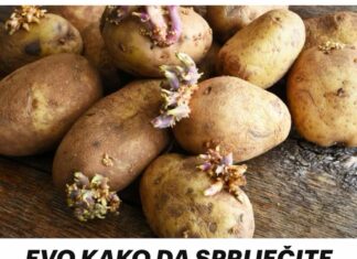EVO KAKO DA SPRIJEČITE KROMPIR DA NE PROKLIJA: Za ovaj hit trik vam trebaju samo još jabuke! EVO KAKO DA SPRIJEČITE KROMPIR DA NE PROKLIJA: Za ovaj hit trik vam trebaju samo još jabuke!