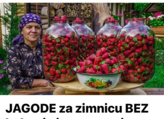 JAGODE za zimnicu BEZ kuhanja i smrzavanja: Imaju okus svježe, a miris ljeta se ne može opisati! JAGODE za zimnicu BEZ kuhanja i smrzavanja: Imaju okus svježe, a miris ljeta se ne može opisati!