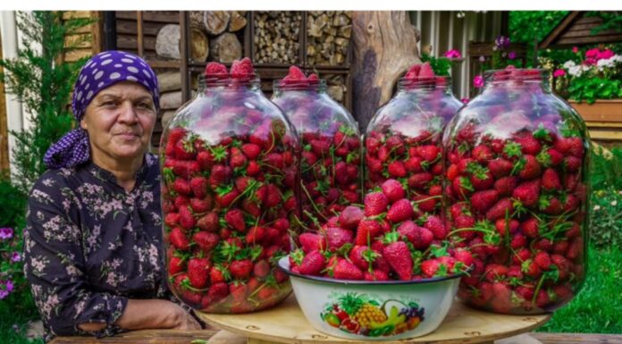 JAGODE za zimnicu BEZ kuhanja i smrzavanja: Imaju okus svježe, a miris ljeta se ne može opisati! JAGODE za zimnicu BEZ kuhanja i smrzavanja: Imaju okus svježe, a miris ljeta se ne može opisati!