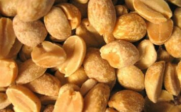 JEDITE ŠTO VIŠE KIKIRIKIJA: Spriječava ove OZBILJNE bolesti JEDITE ŠTO VIŠE KIKIRIKIJA: Spriječava ove OZBILJNE bolesti