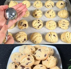 KOMŠIJA sa najljepšim geranijumima rekla mi je svoj trik: Samo KAP i bukvalno će biti zasuti cvijećem! KOMŠIJA sa najljepšim geranijumima rekla mi je svoj trik: Samo KAP i bukvalno će biti zasuti cvijećem!