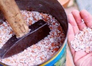 Ljuske od jaja su izuzetno vredne: Nemojte ih bacati – Sprečavaju osteoporozu, oporavljaju štitnjaču, normalizuju rad mišića… Ljuske od jaja su izuzetno vredne: Nemojte ih bacati – Sprečavaju osteoporozu, oporavljaju štitnjaču, normalizuju rad mišića…